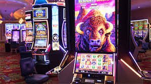 Live Casino